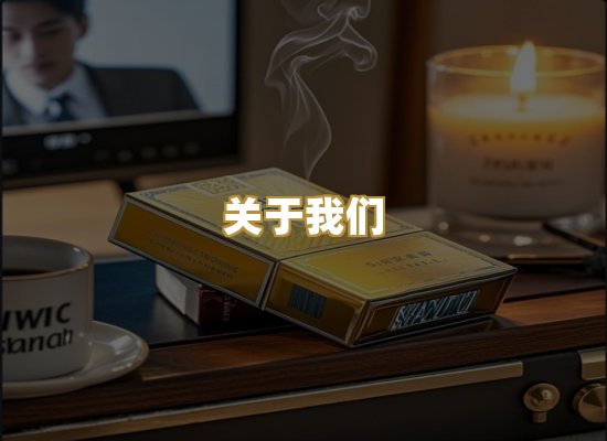 关于我们